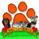 ���͂ǂ��Ԃ���̉�